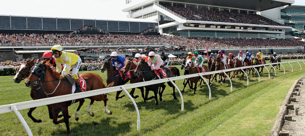 Melbourne Cup horses racing