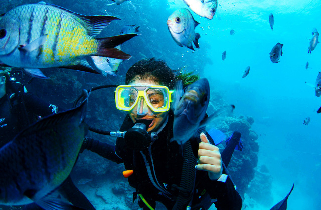 Scuba dive the Great Barrier Reef. Picture: Getty Images