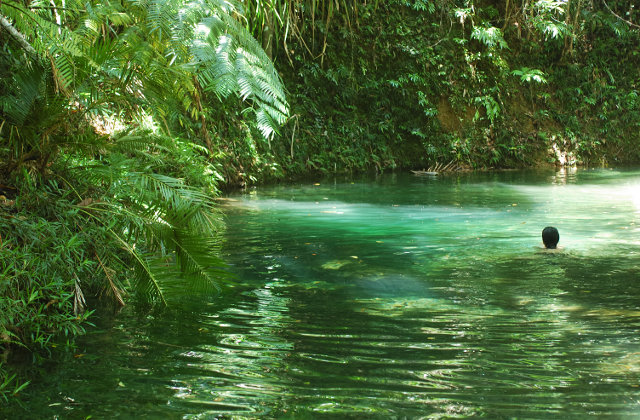 Go for a swim in the jungle in the Daintree. Picture: Getty Images
