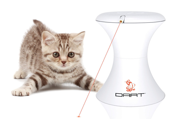 A cat playing with the Dart laser toy