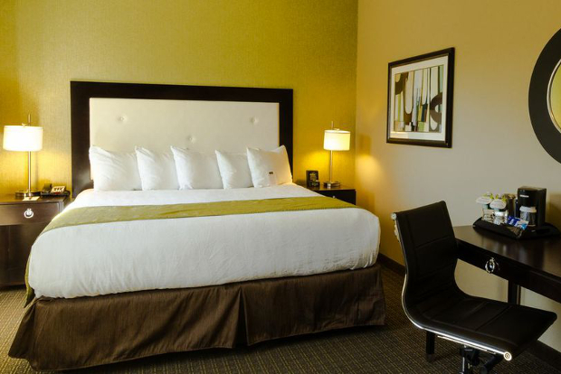 A look inside a hotel room at the Envision hotel