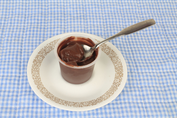 Chocolate pudding
