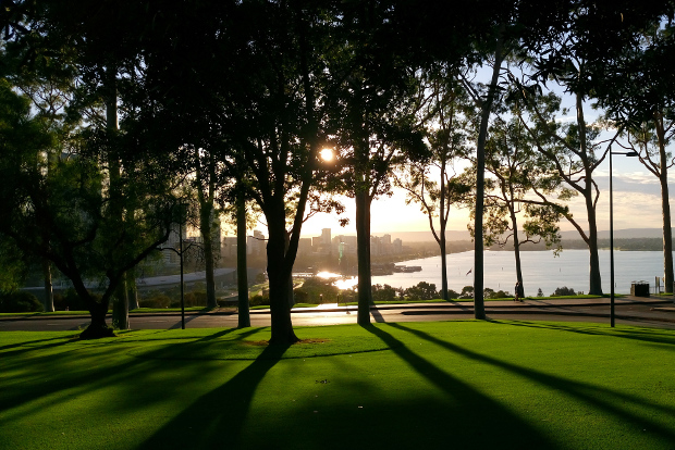 Kings Park at sunset