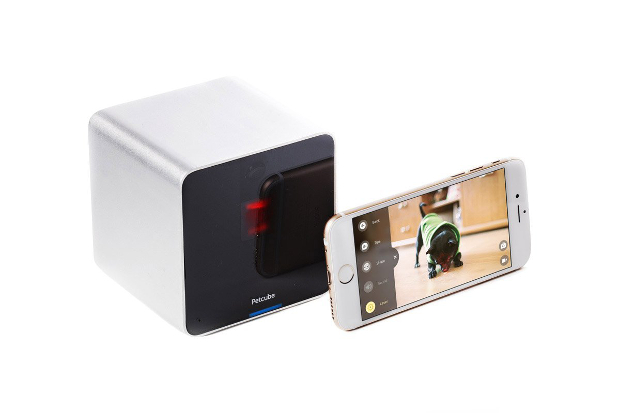 A petcube camera and smartphone showing the app working