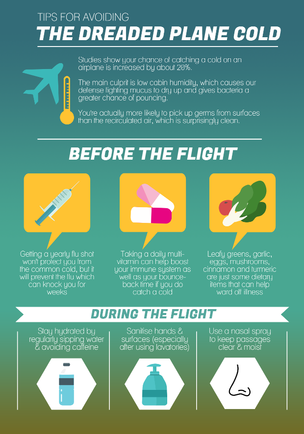 Avoid Getting Sick On A Plane Infographic
