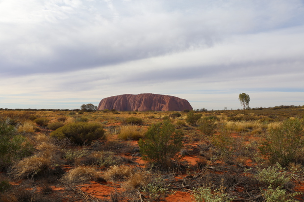 Daytime view of Uluru