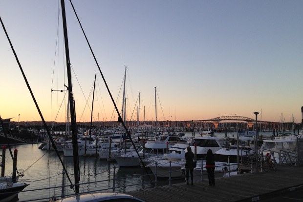 A sunset view of the luxury yachts anchored in Auckland's harbour