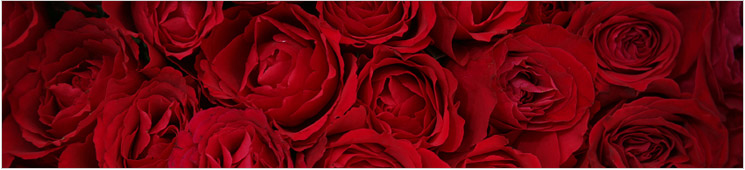 Valentines Day Header : Valentines Day Web Header Royalty Free Stock Photography ..., Открыть страницу «valentine's day» на facebook.