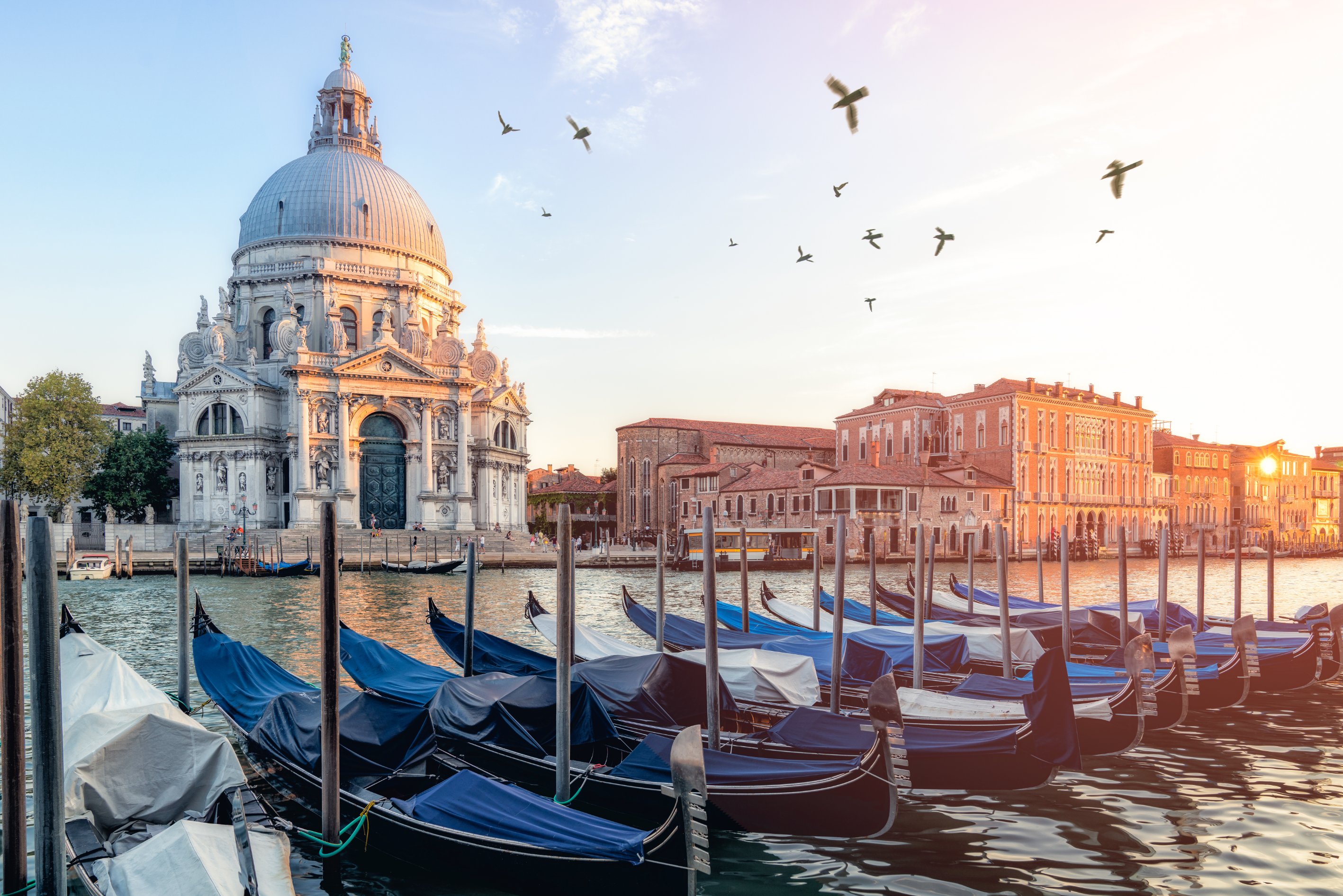 Venice