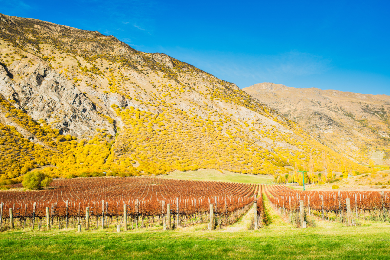 Landscapes of Central Otago.