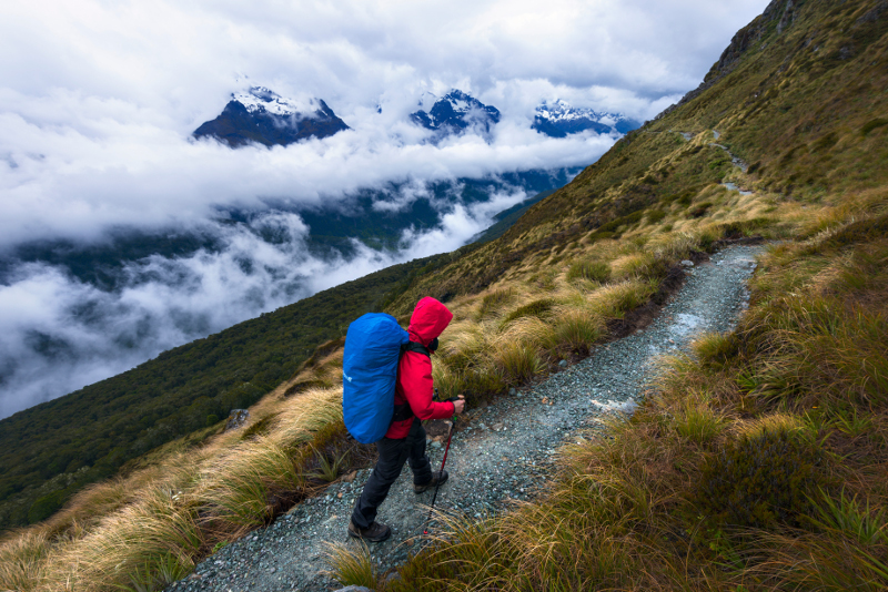 Routeburn Track near Glenorchy.