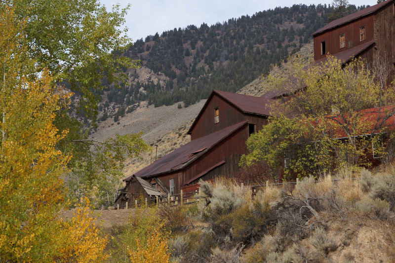 Bayhorse, Idaho.