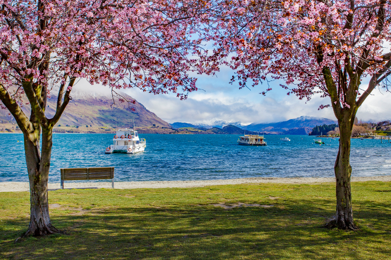 Lake Wanaka.