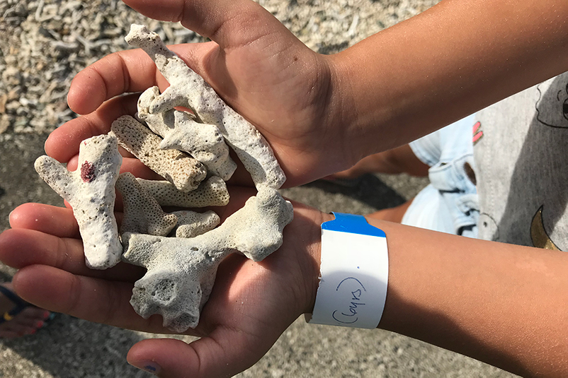 A handful of coral in Fiji