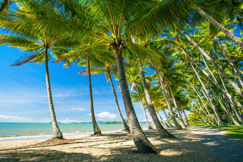 Palm Cove, North Queensland