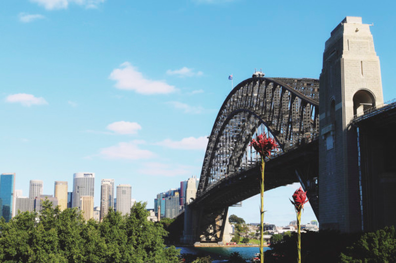 Sydney Harbour Bridge, Sydney