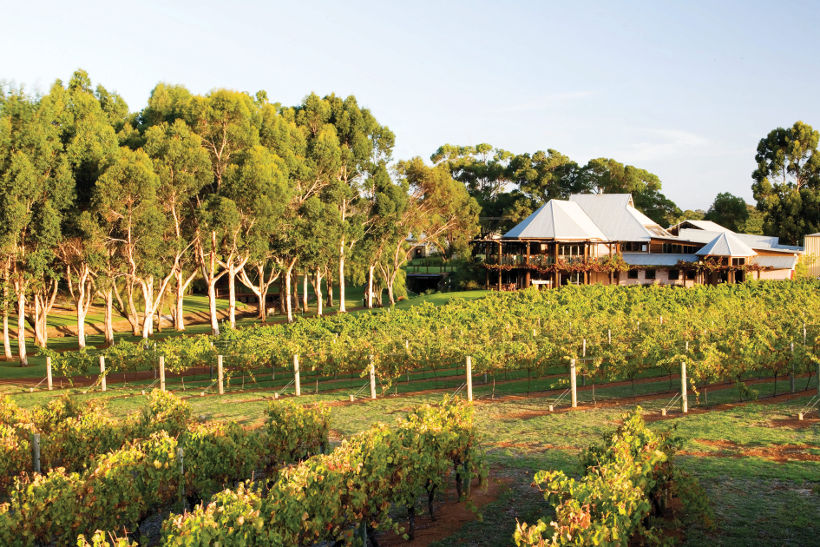 vasse-felix winery margaret river western australia