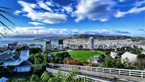 Wellington Accommodation Views
