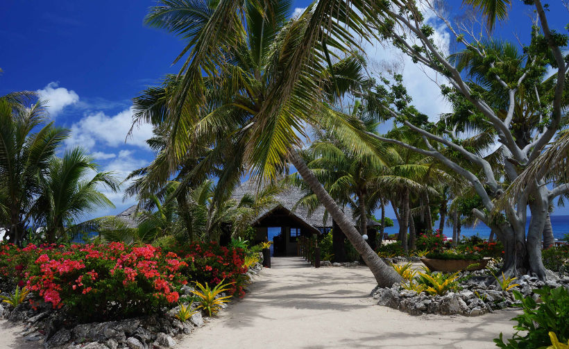 white grass resort vanuatu