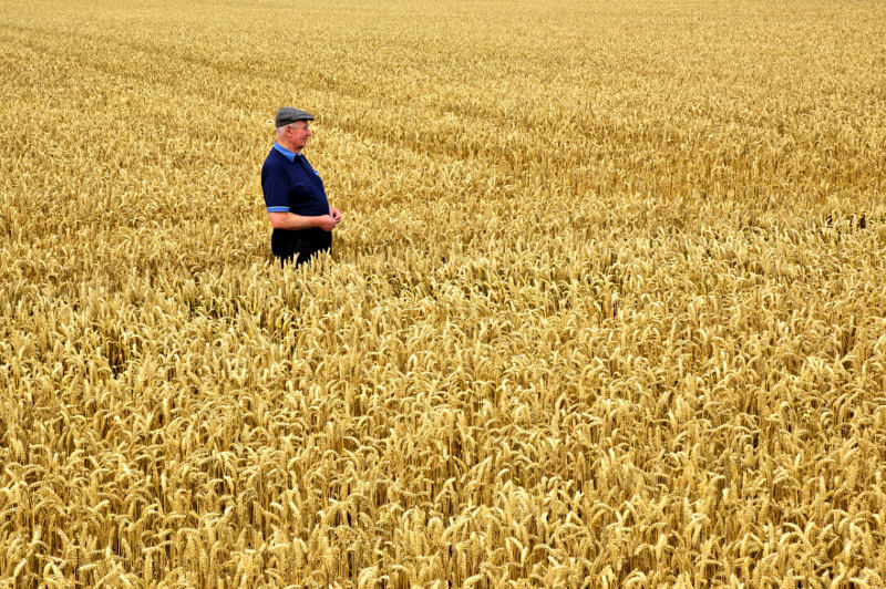 A farmer tends to his field in County Cork.