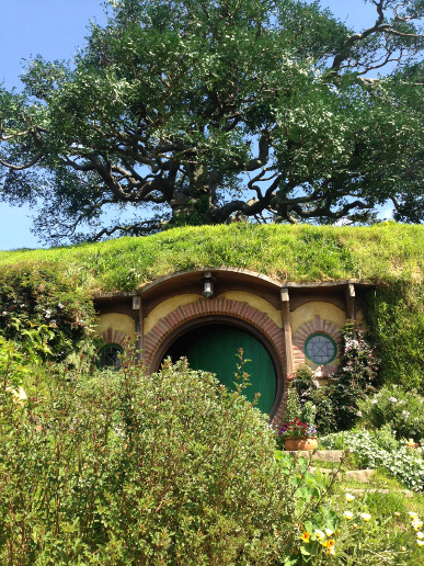 Bag End looking up at the oak tree on top of the hill