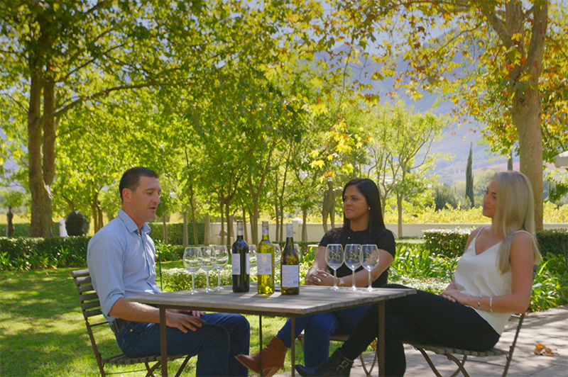 wine tasting in grande provence