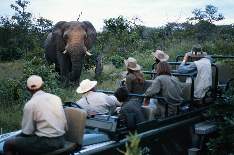 bird-eye's view of aquila game reserve