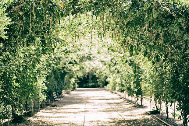 An arbour at the Adelaide Botanic Garden, South Australia.