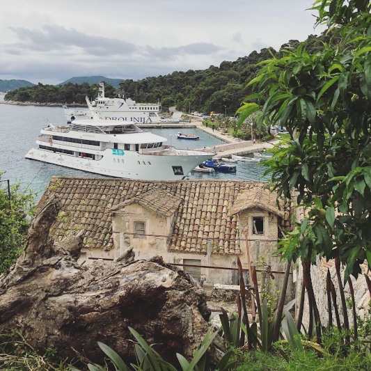 The Avangard ship docked at Suduard port with an old house