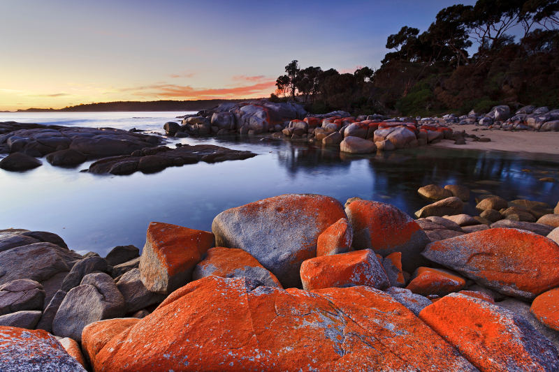 Orange lichen covers rocks at Tasmania's Bay of Fires.