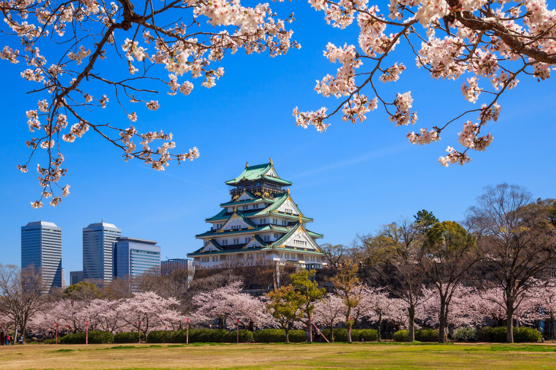Stunning Osaka castle rises above a sea of cherry blossoms. Image: Getty