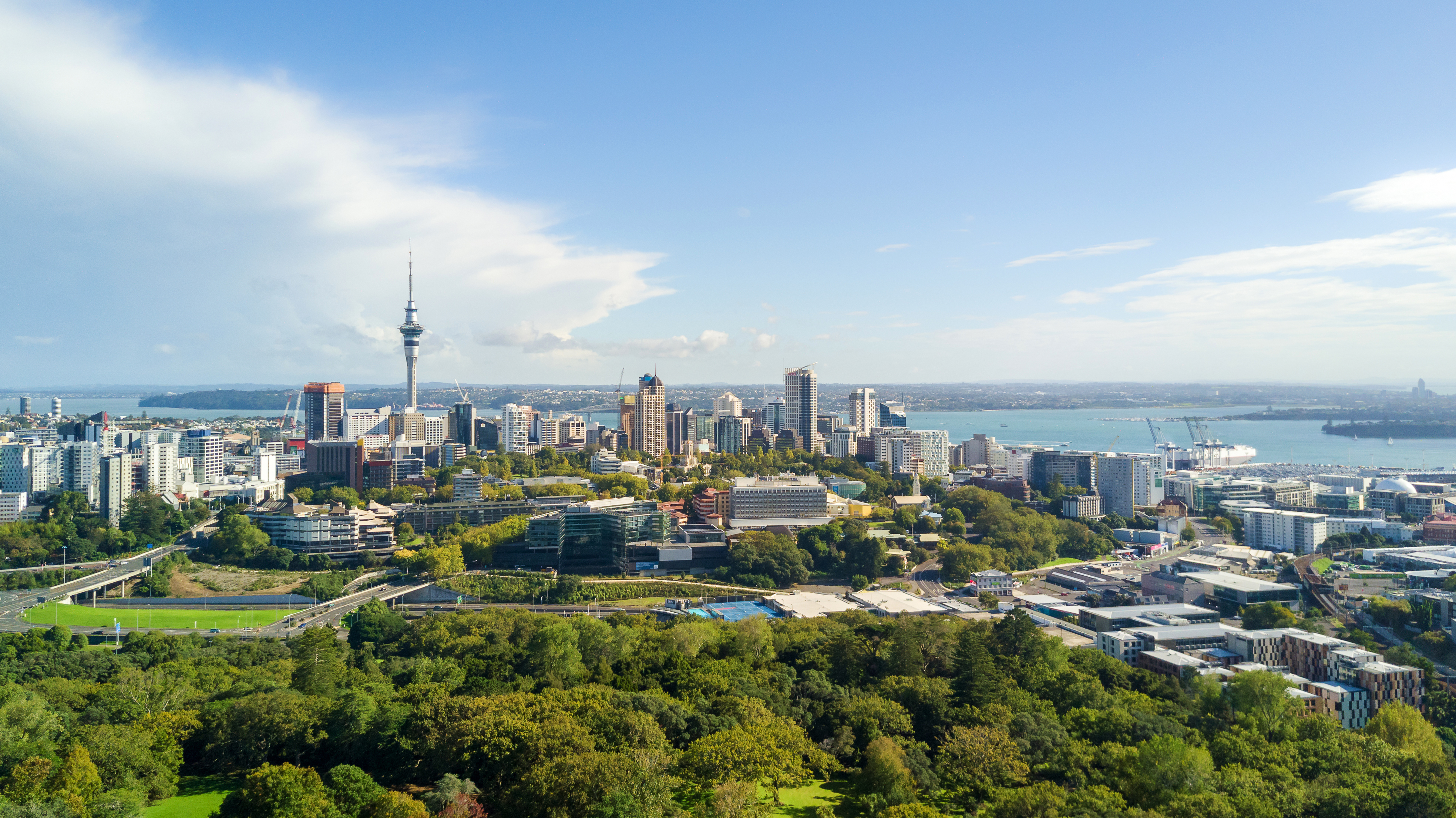 auckland-car-hire