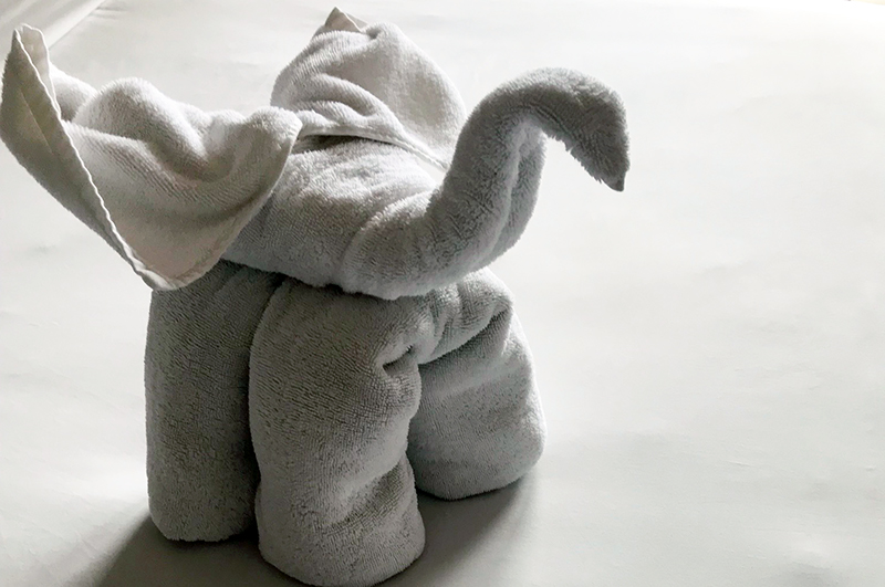 Towel animal at resort in Bali