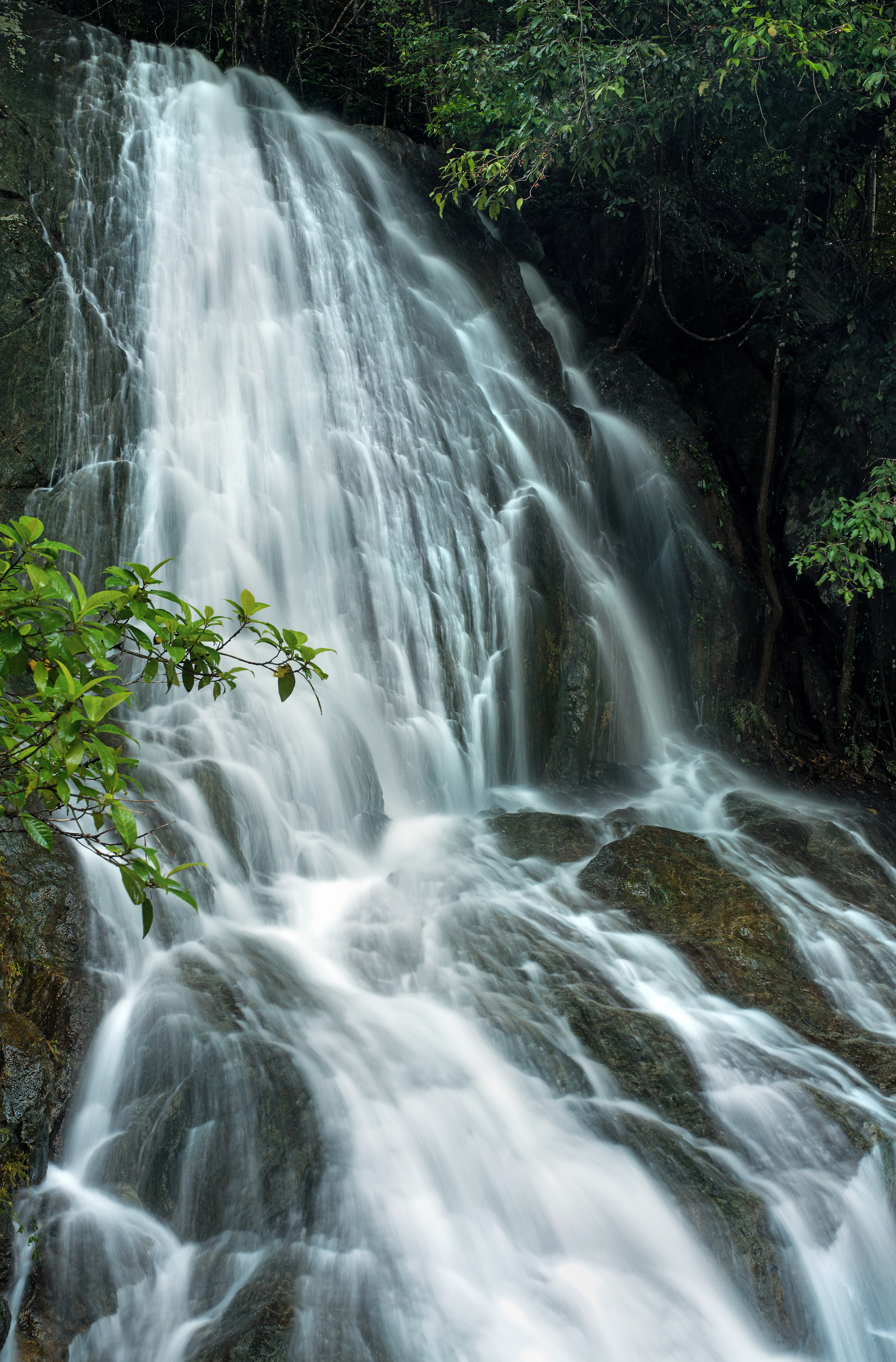 cairns-car-hire