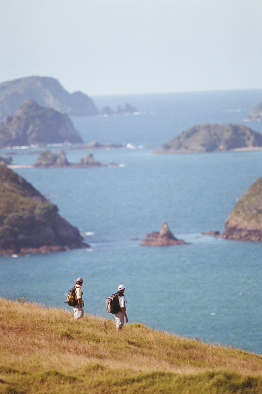 Two men hiking in the bay of islands