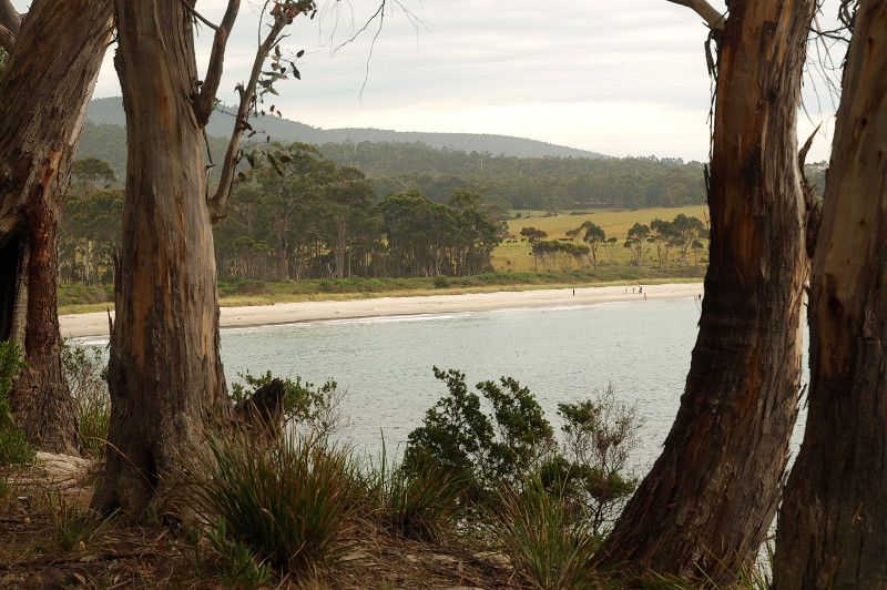 View near Cockle Creek