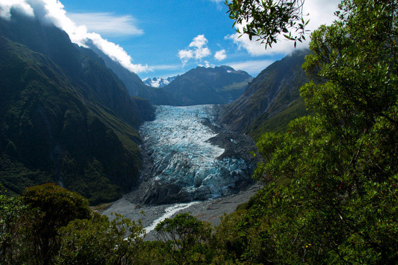 Fox glacier flows down from snowy peaks to rainforest.