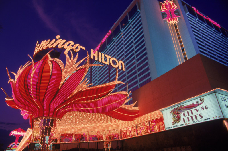 Flamingo's in Las Vegas, USA.