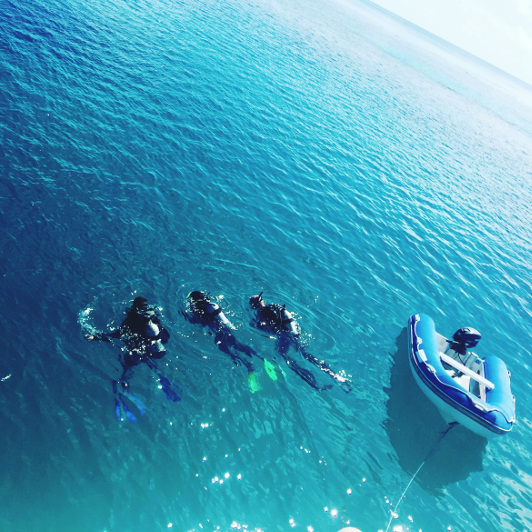 Scuba divers.
