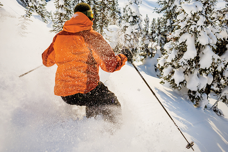 Skier in the Monashee Mountains, BC