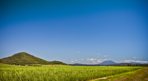 Cairns touring countryside