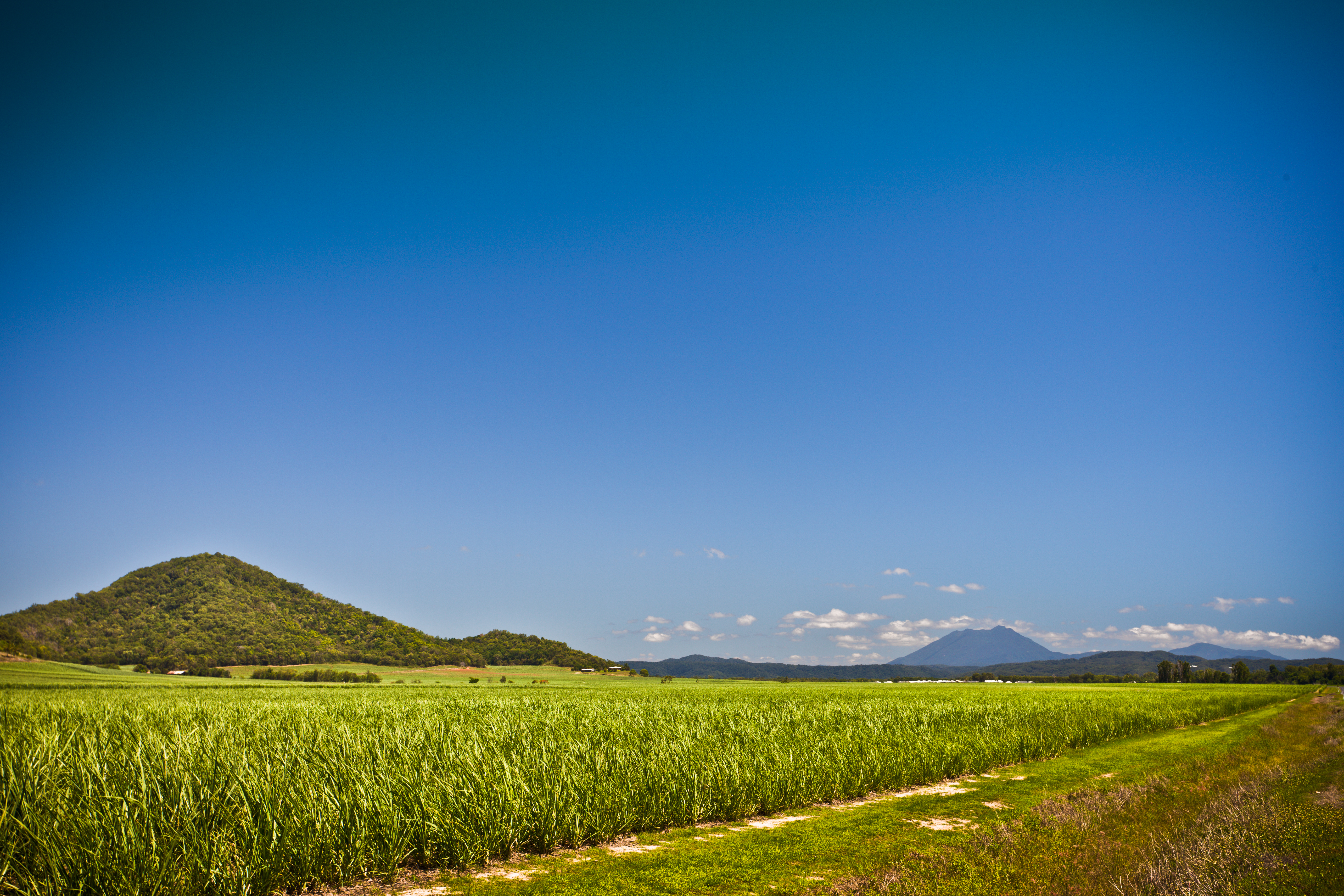 cairns-car-hire