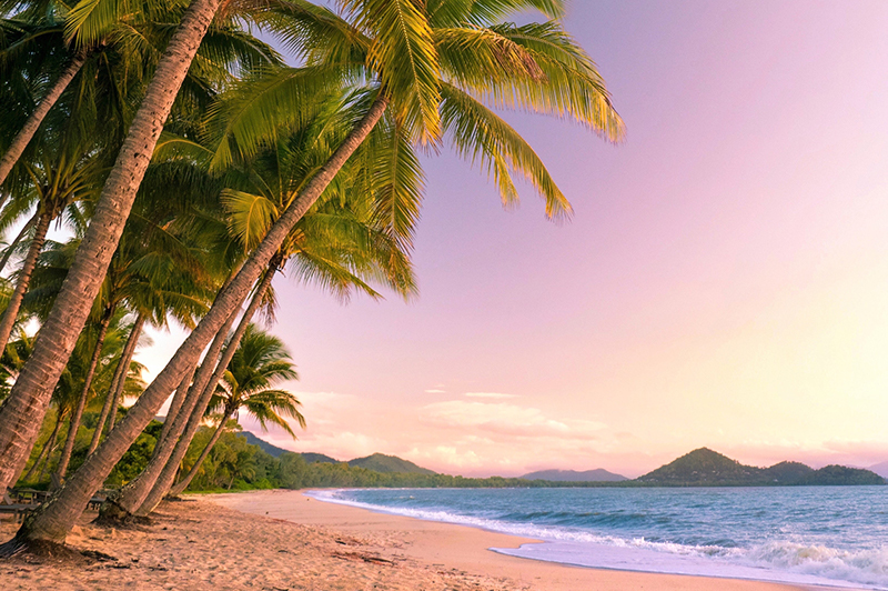 beach sunset in Cairns