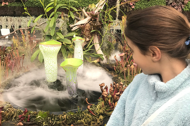 Girl looking at Plants With Bite exhibit at The Calyx in the Royal Botanic Garden Sydney