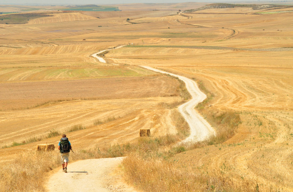 a person walking along the Camino de Santiago trail