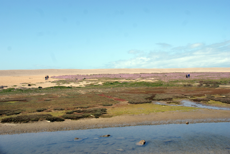 Chesil Beach.