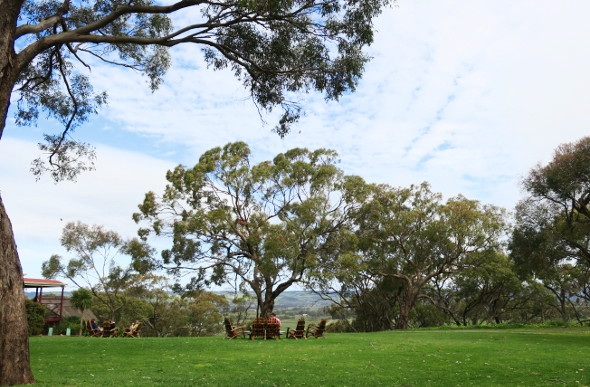 Views from d'arenberg winery in the McLaren Vale