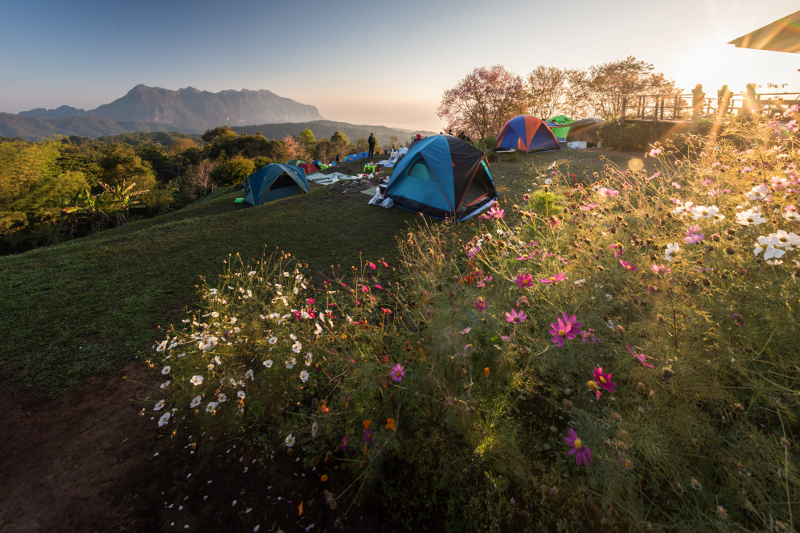 Chiang Mai in Thailand.