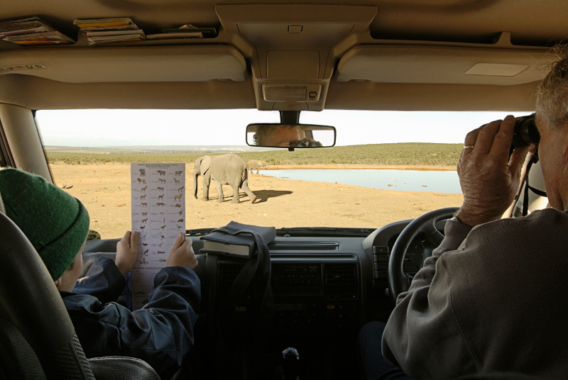 child on African safari.