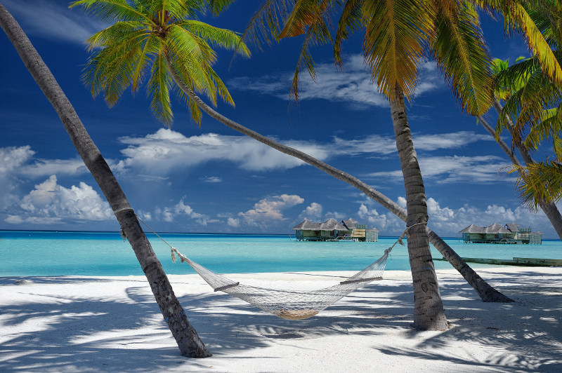 The Maldives.